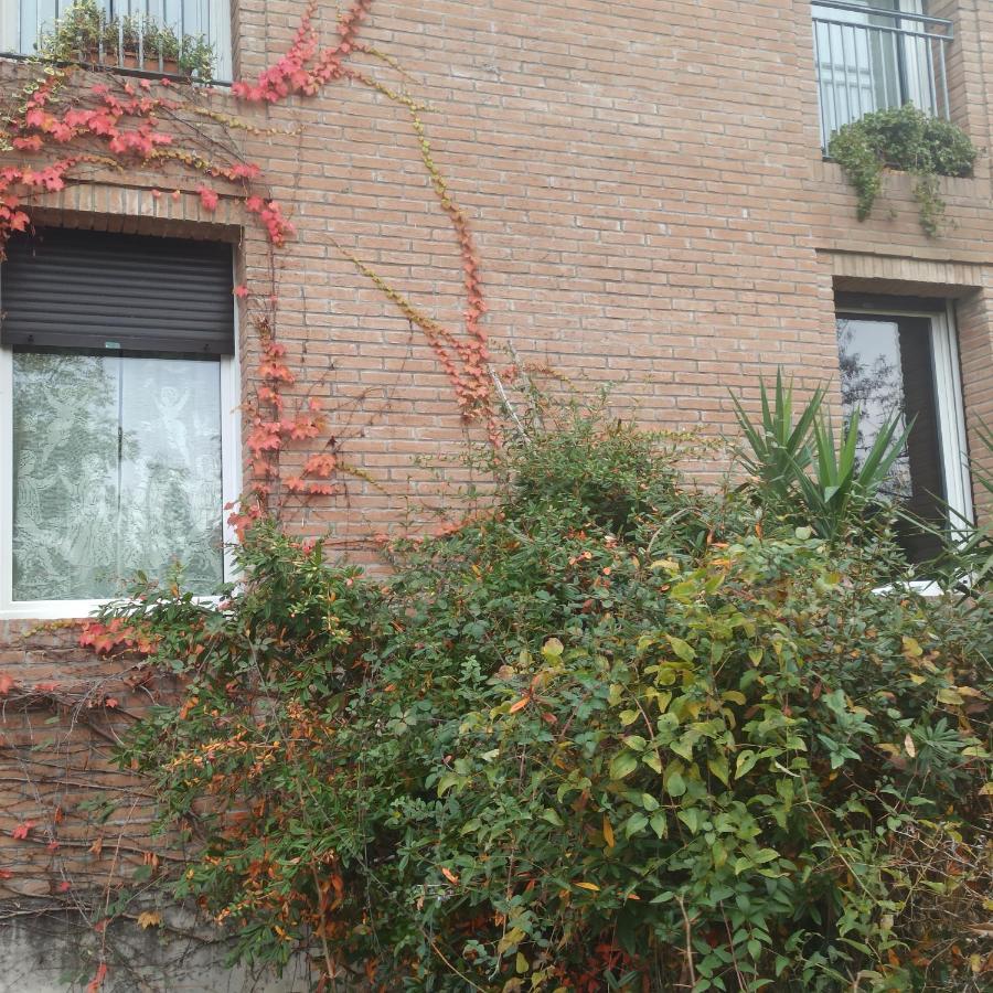 Casa Vincenzo 130 Mq Con Portico Ed Ingresso Esclusivo Dal Giardino Villa Felino Kültér fotó
