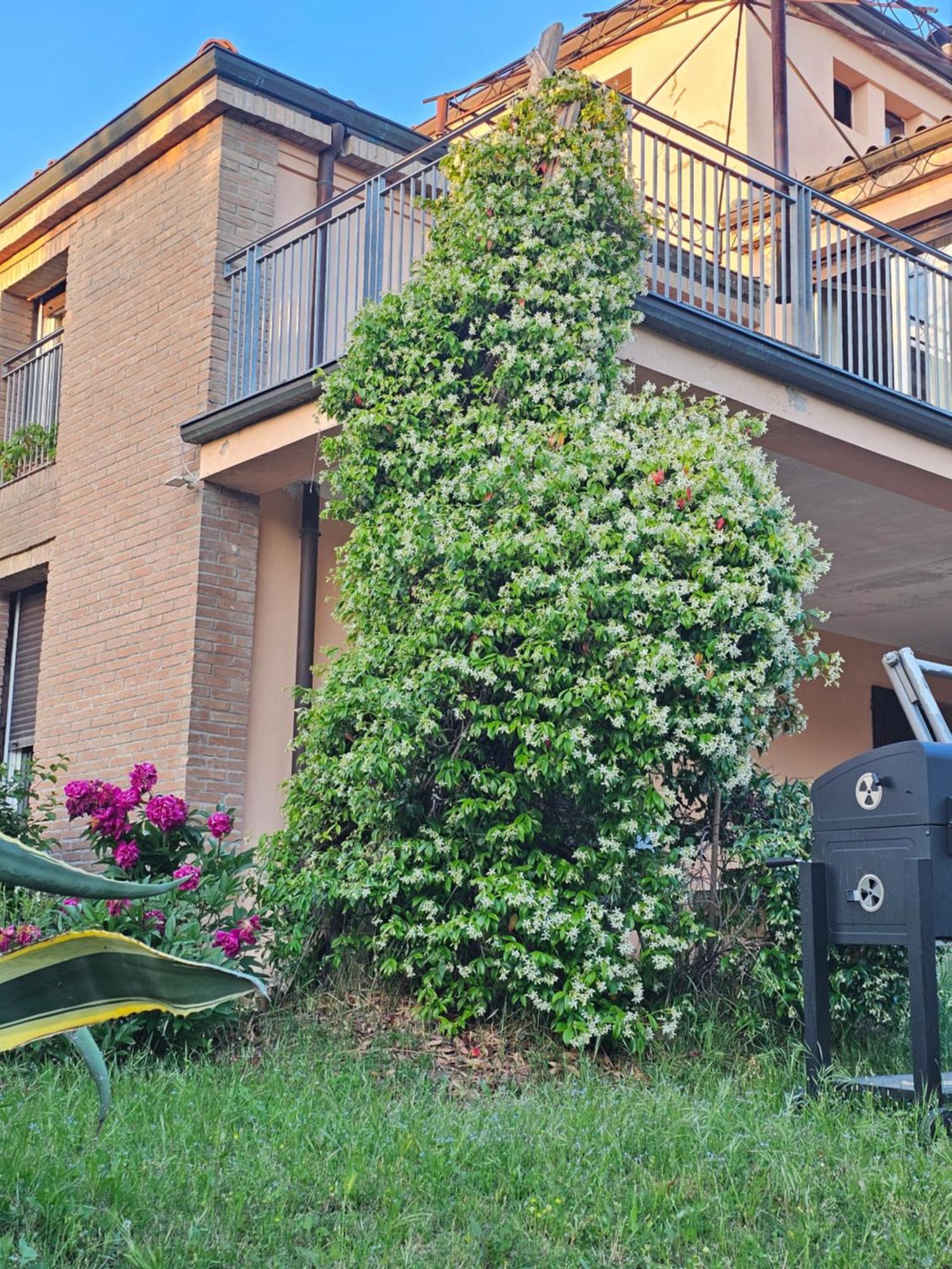 Casa Vincenzo 130 Mq Con Portico Ed Ingresso Esclusivo Dal Giardino Villa Felino Kültér fotó