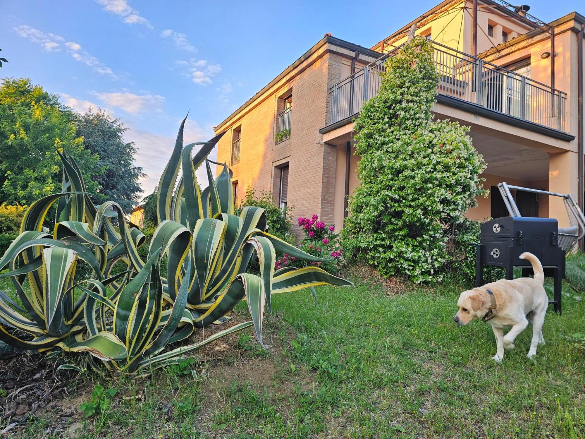 Casa Vincenzo 130 Mq Con Portico Ed Ingresso Esclusivo Dal Giardino Villa Felino Kültér fotó